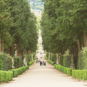 boboli rondleiding